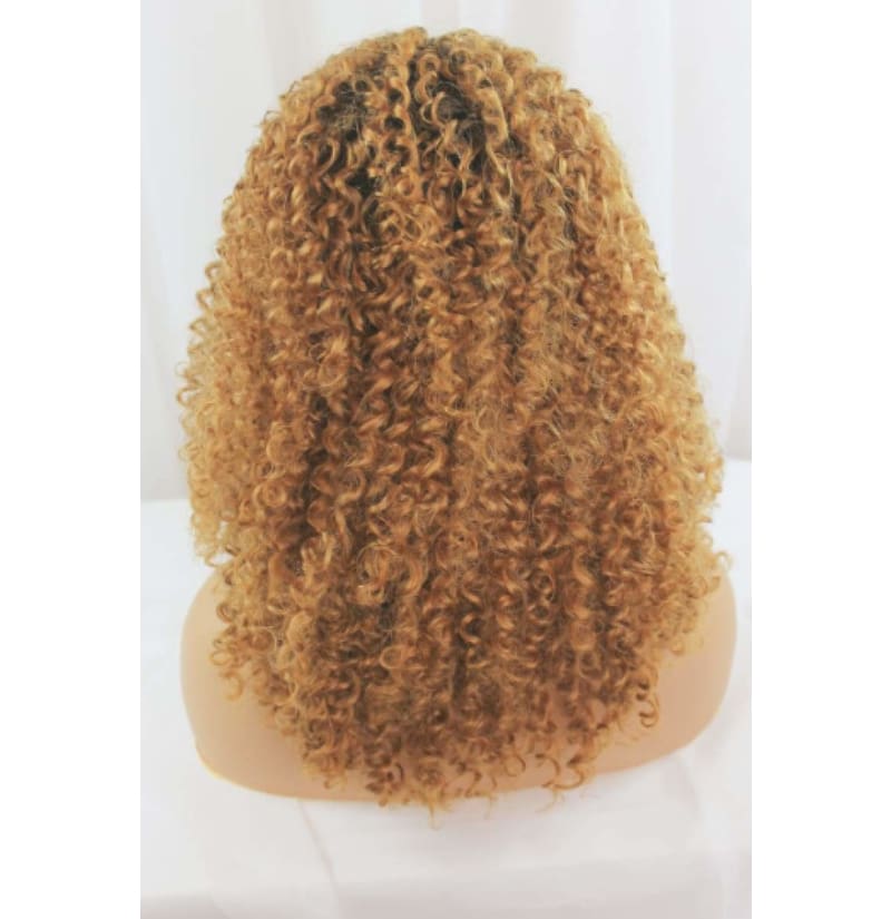 Ombré 16 Inch Curly 13x4 Wig